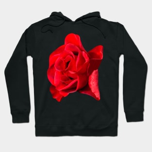 Red Rose Hoodie